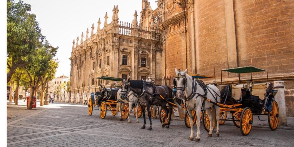 Chic Casa Cathedral At Calle Fresca 2-Bedroom Apartment In Malaga City Center Εξωτερικό φωτογραφία